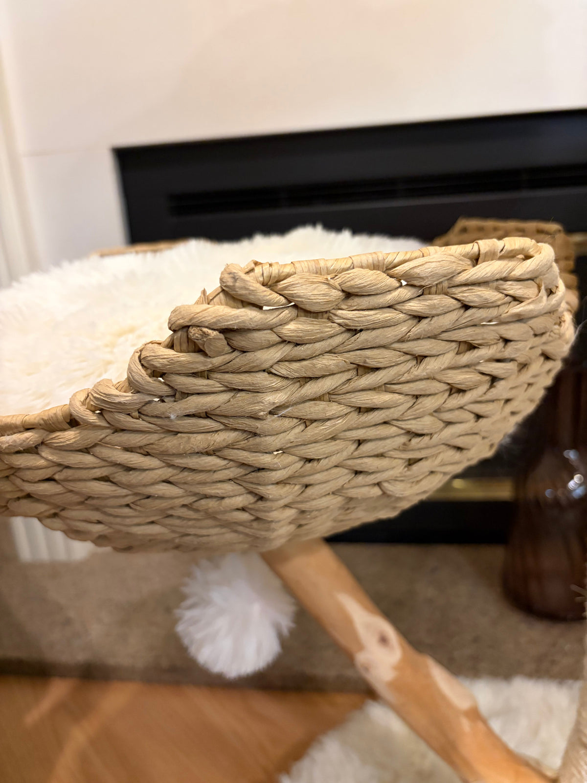 Cat resting on plush top perch of natural wood cat tree