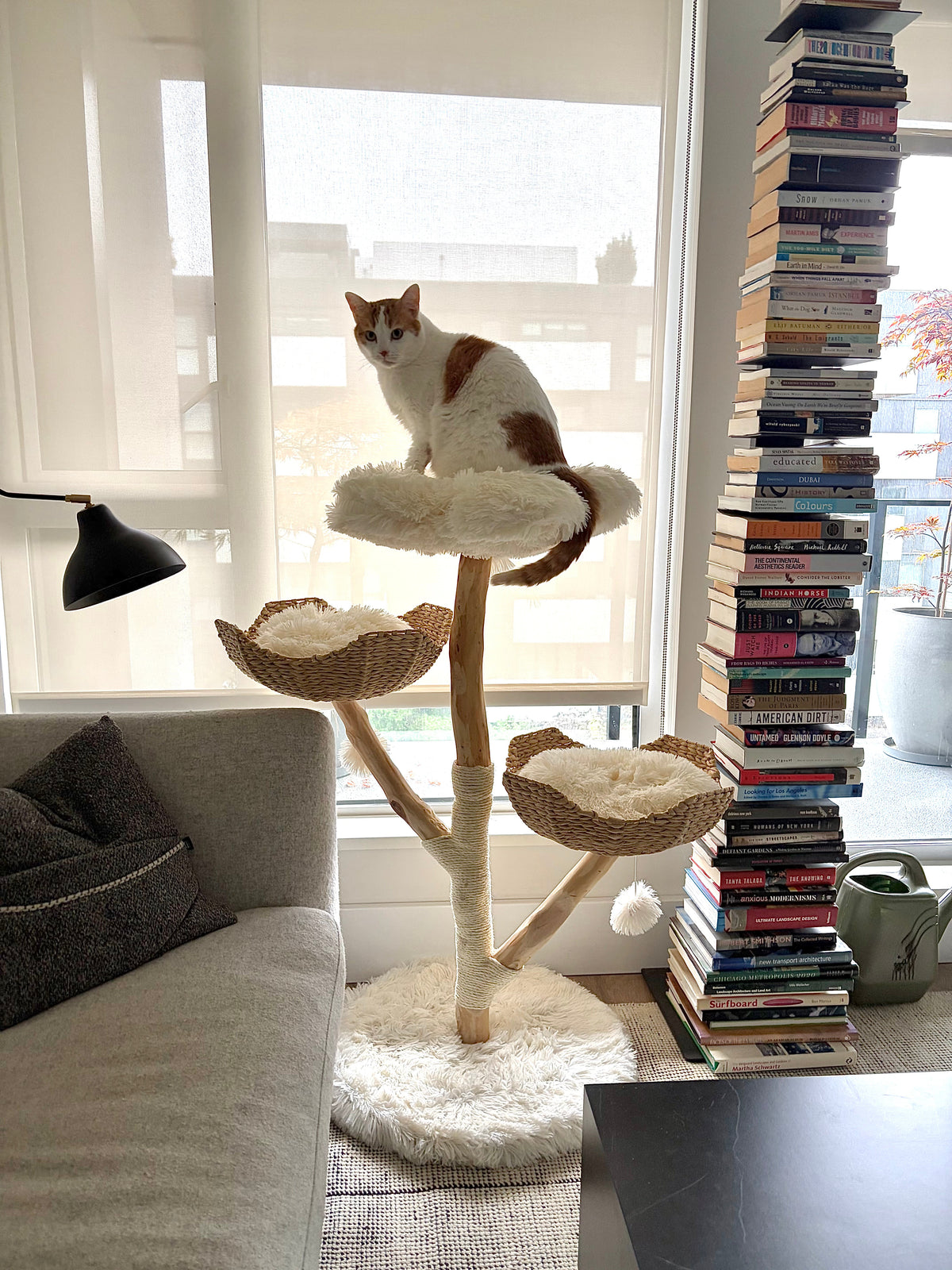 Cat lounging in rattan nest on natural wood cat tree
