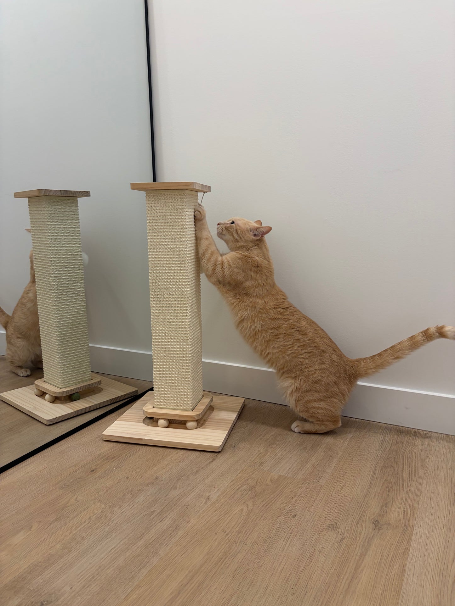 Tall Sisal Cat Scratcher with Wood Base