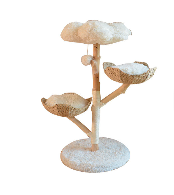 Natural wood cat tree dimensions and size details